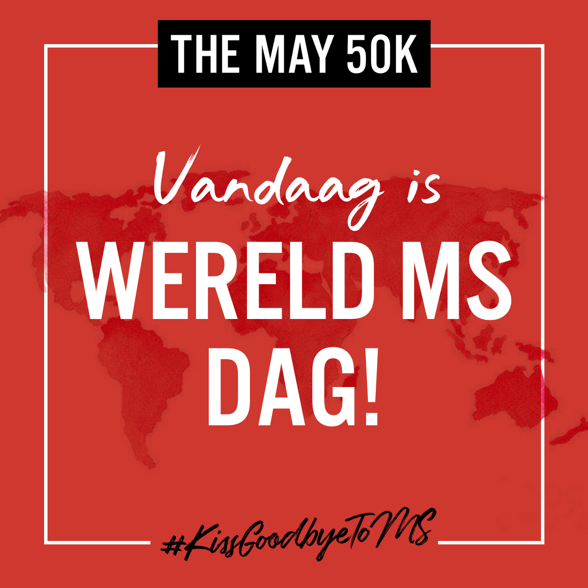 Netherlands SM 24