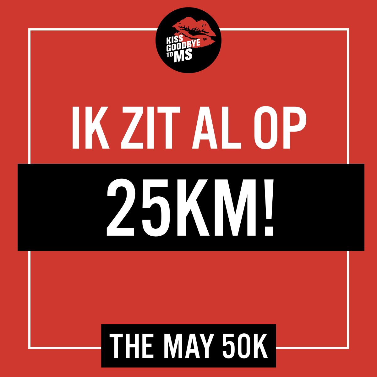 Netherlands SM 13